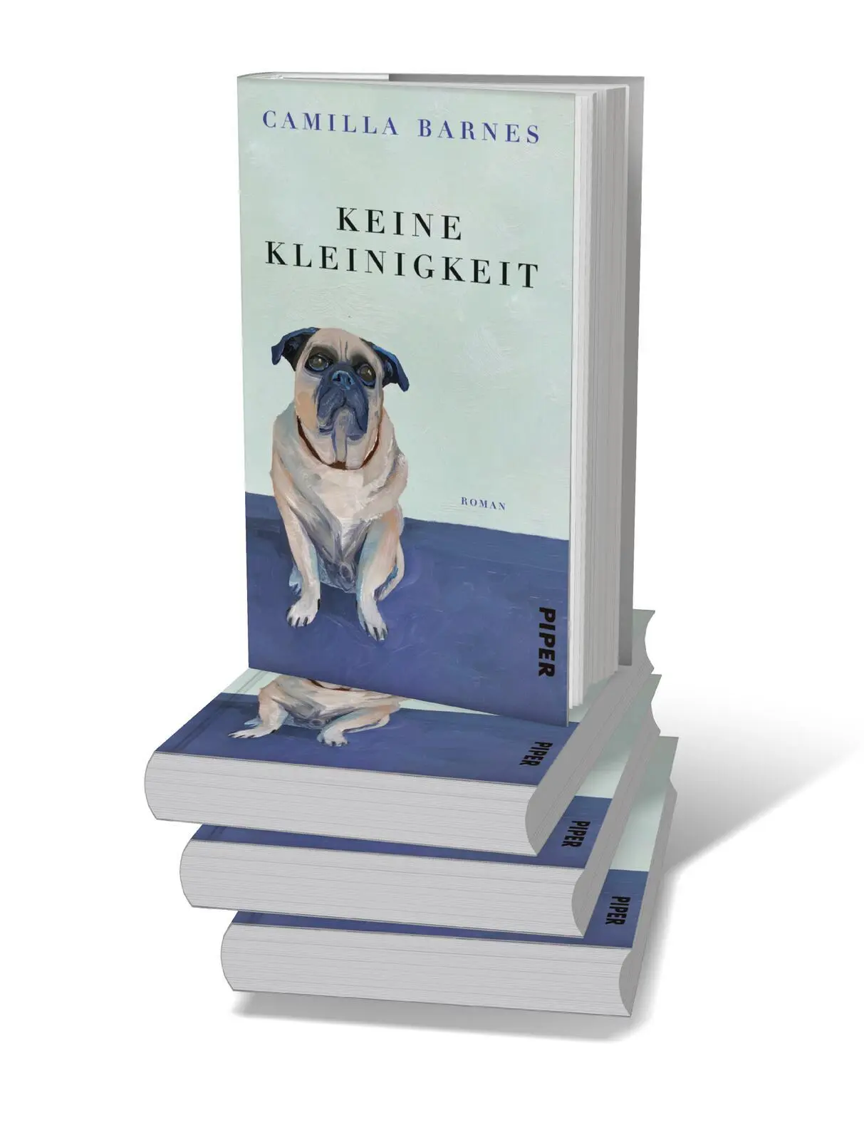 Bild: 9783492073165 | Keine Kleinigkeit | Camilla Barnes | Buch | 256 S. | Deutsch | 2025