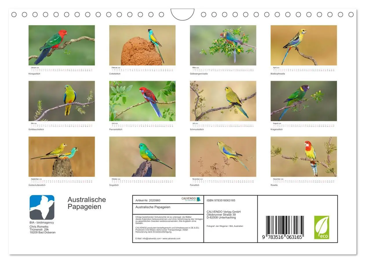 Bild: 9783516063165 | Australische Papageien (Wandkalender 2026 DIN A4 quer), CALVENDO...