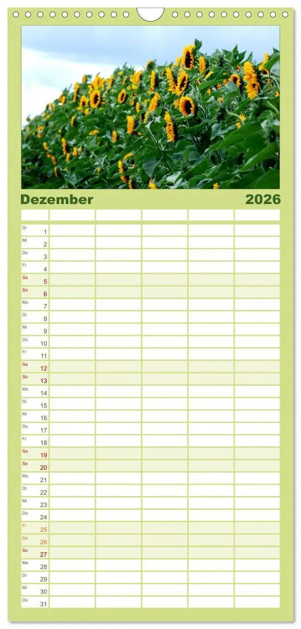Bild: 9783516513165 | Familienplaner 2026 - Sonnenblumen mit 5 Spalten (Wandkalender, 21...