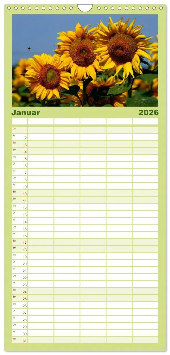 Bild: 9783516513165 | Familienplaner 2026 - Sonnenblumen mit 5 Spalten (Wandkalender, 21...
