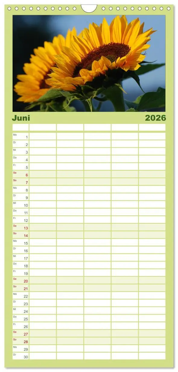 Bild: 9783516513165 | Familienplaner 2026 - Sonnenblumen mit 5 Spalten (Wandkalender, 21...