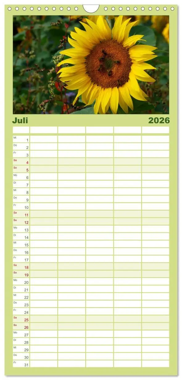 Bild: 9783516513165 | Familienplaner 2026 - Sonnenblumen mit 5 Spalten (Wandkalender, 21...