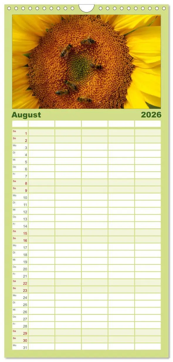 Bild: 9783516513165 | Familienplaner 2026 - Sonnenblumen mit 5 Spalten (Wandkalender, 21...