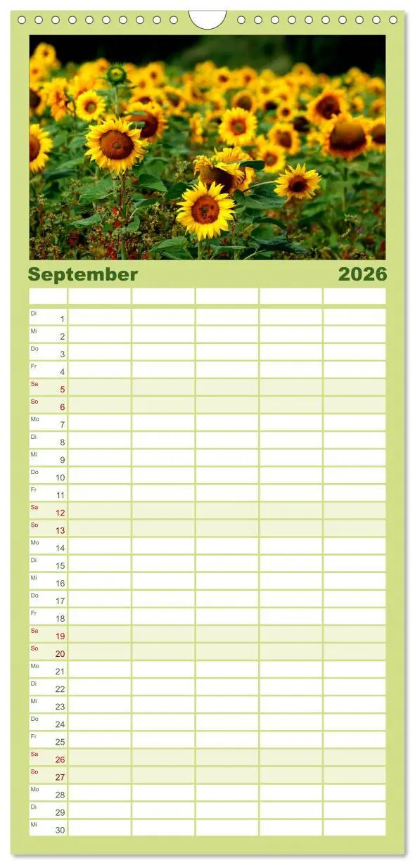 Bild: 9783516513165 | Familienplaner 2026 - Sonnenblumen mit 5 Spalten (Wandkalender, 21...