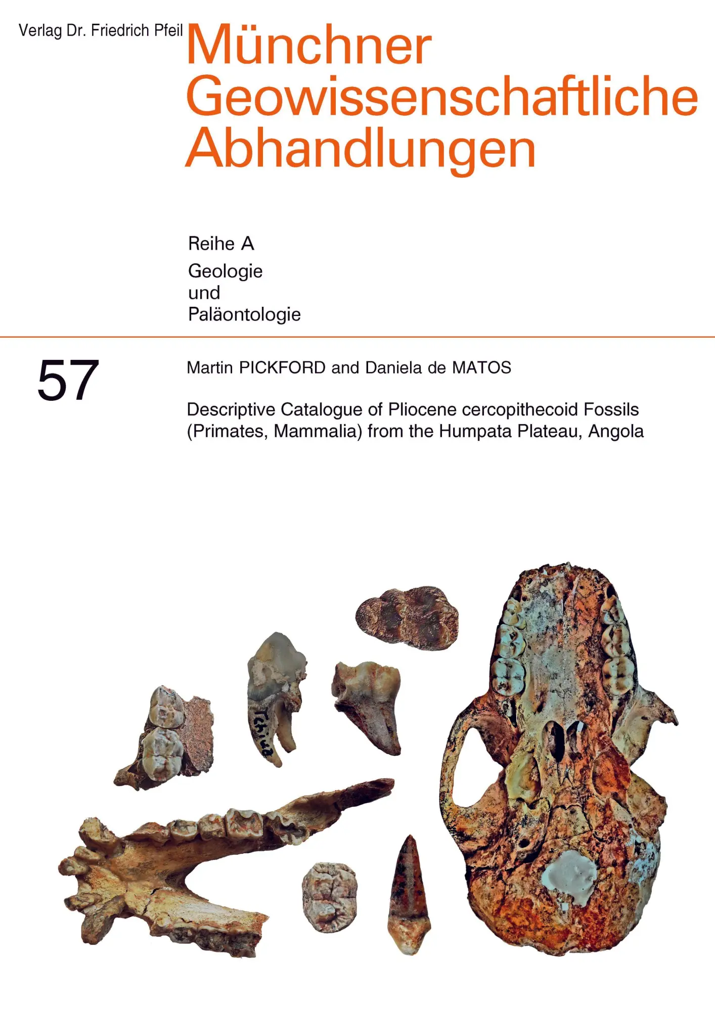 Descriptive Catalogue of Pliocene cercopithecoid Fossils (Primates, Mammalia) from the Humpata Plateau, Angola