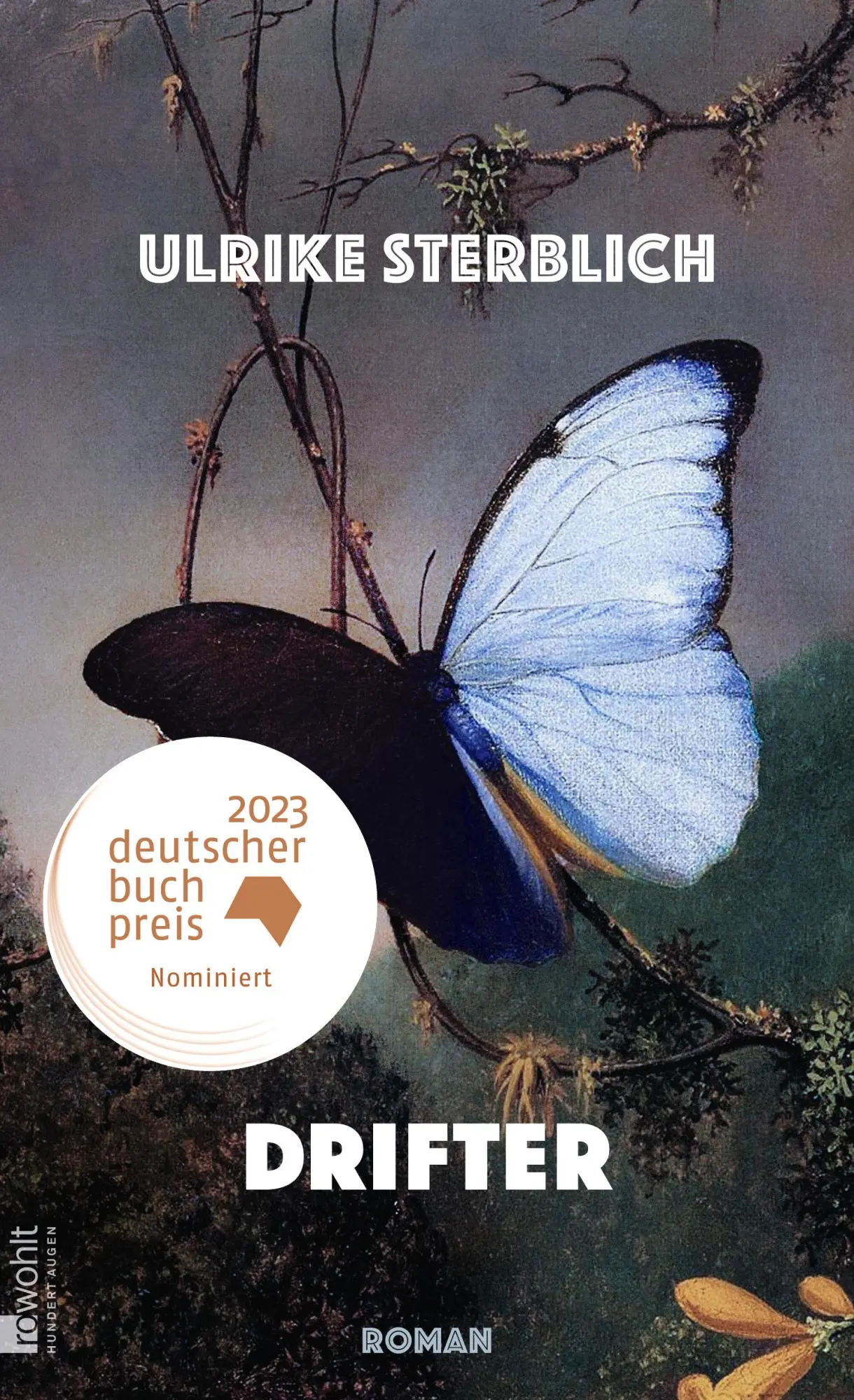 Cover: 9783498003265 | Drifter | Roman Shortlist Deutscher Buchpreis 2023 | Ulrike Sterblich