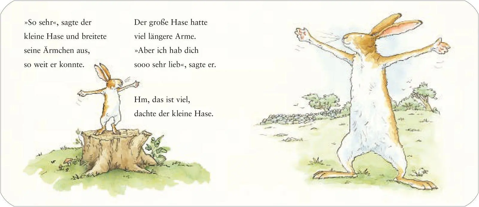 Bild: 9783737373265 | Weißt du eigentlich, wie lieb ich dich hab? | Sam McBratney | Buch