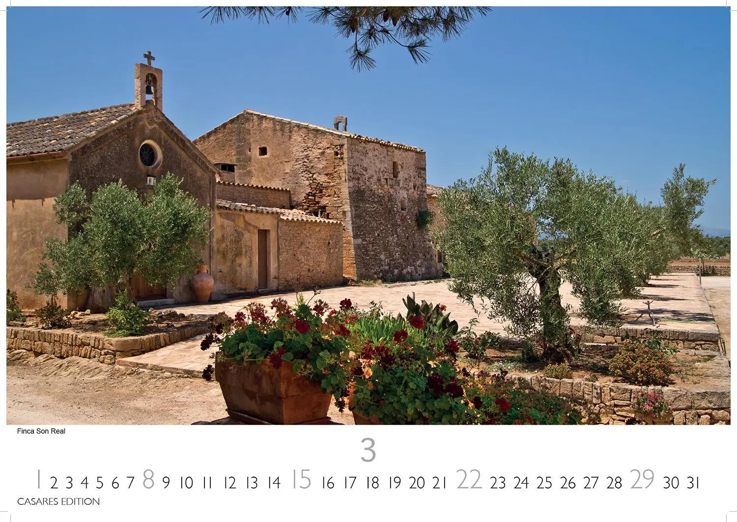 Bild: 9781835243565 | Mallorca 2026 L 35x50cm | Kalender | 14 S. | Deutsch | 2026