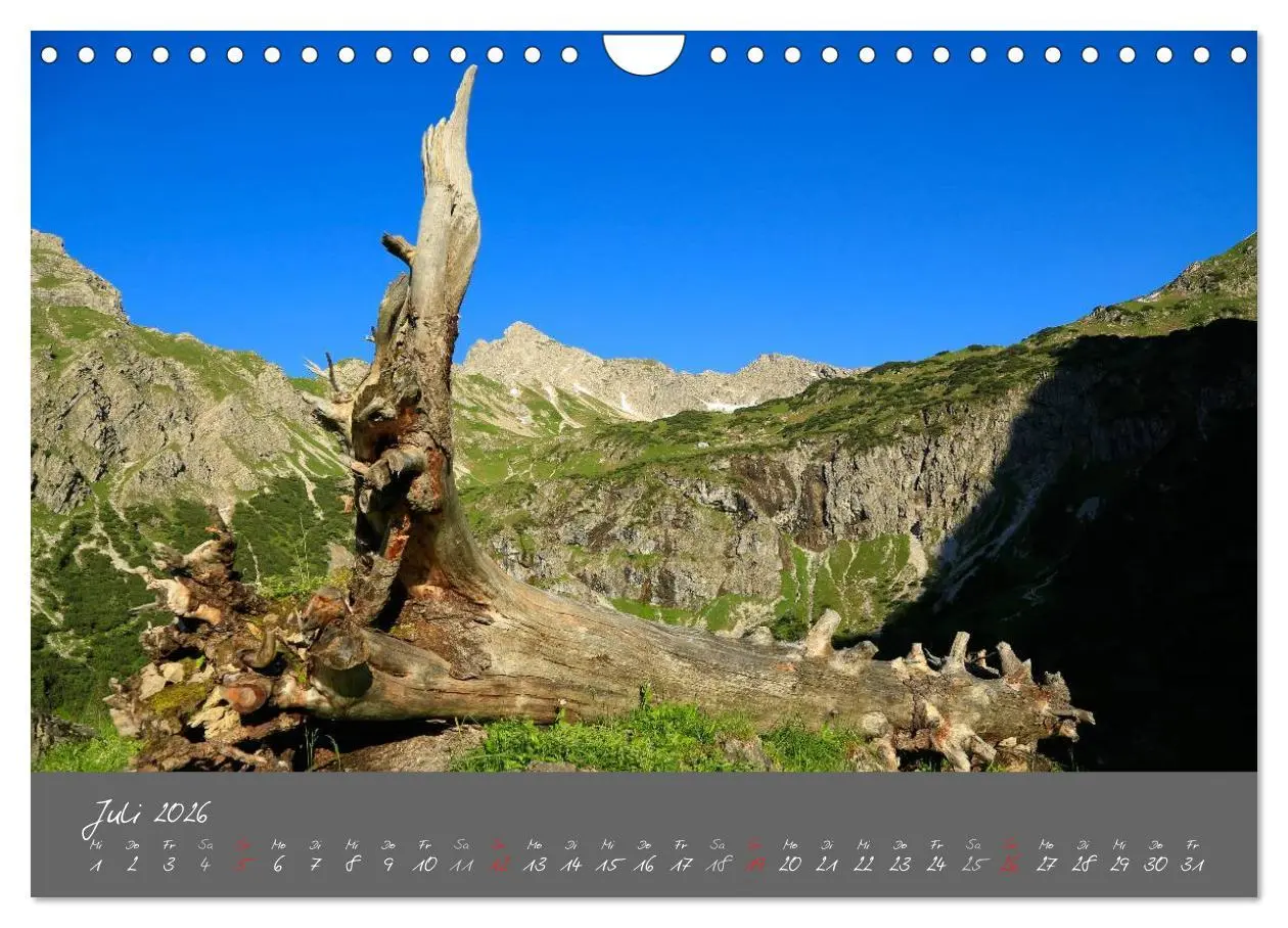Bild: 9783516193565 | Unser schönes Allgäu (Wandkalender 2026 DIN A4 quer), CALVENDO...