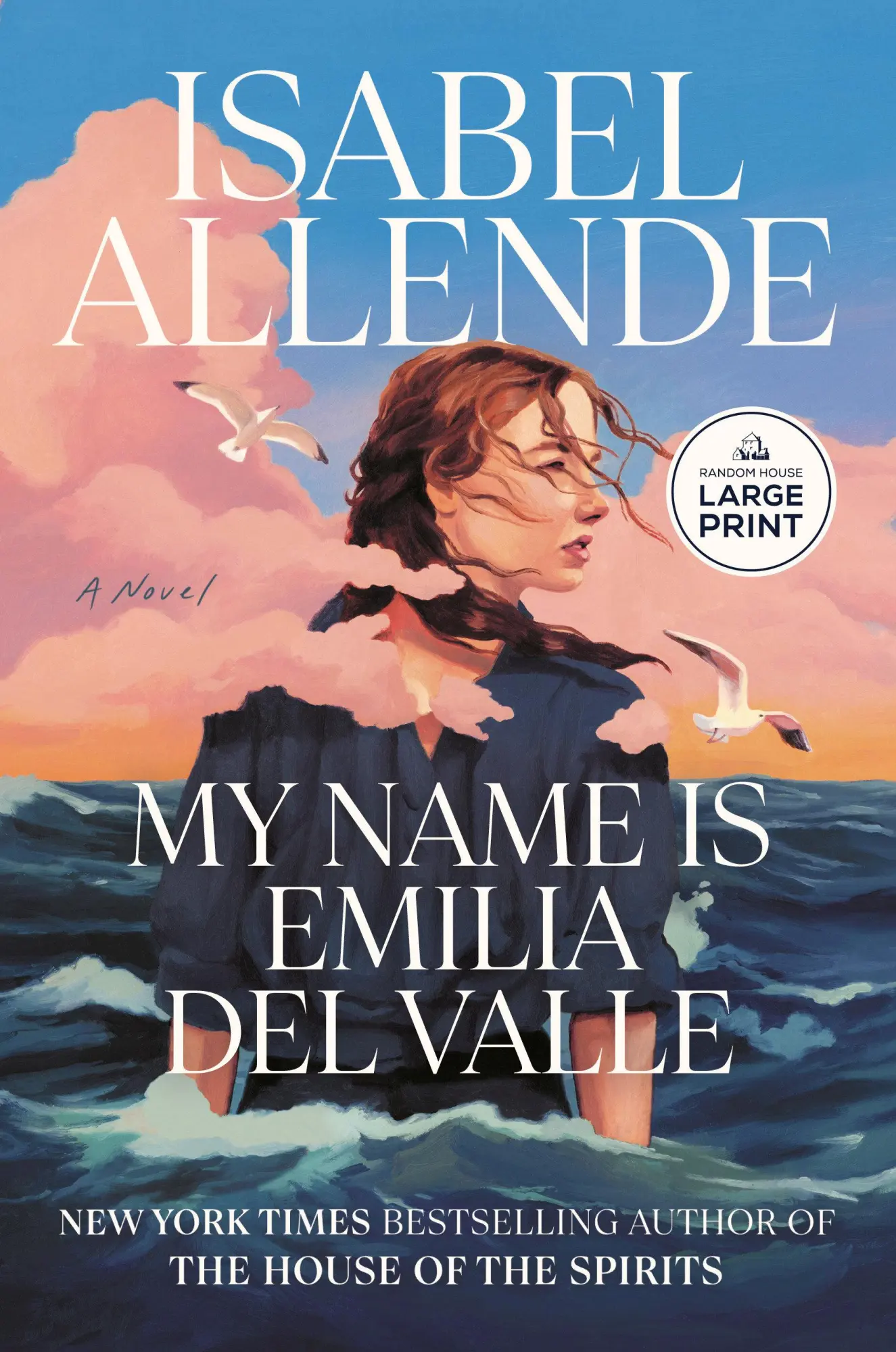 Cover: 9798217083565 | My Name Is Emilia del Valle | A Novel | Isabel Allende | Taschenbuch
