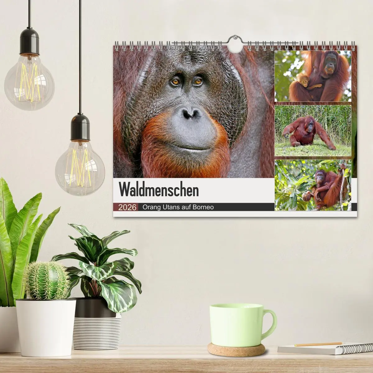 Bild: 9783457853665 | Waldmenschen - Orang Utans auf Borneo (Wandkalender 2026 DIN A4...
