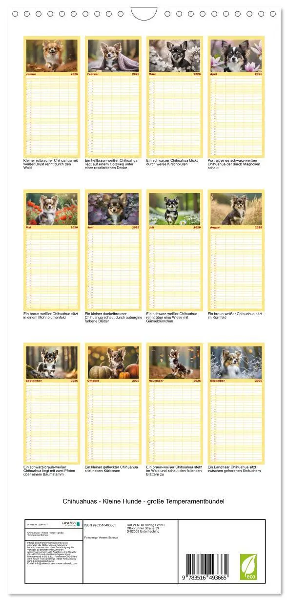 Bild: 9783516493665 | Familienplaner 2026 - Chihuahuas - Kleine Hunde - große...