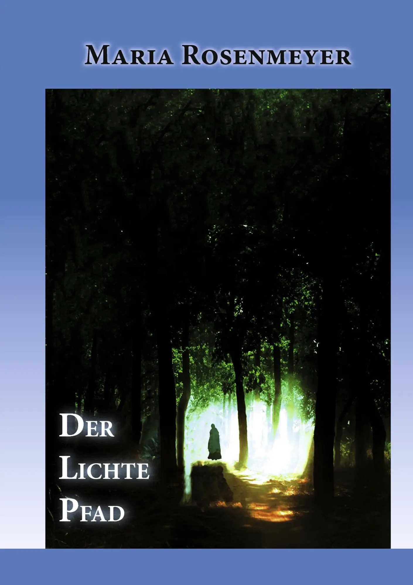 Cover: 9783842343665 | DER LICHTE PFAD | Maria Rosenmeyer | Taschenbuch | 340 S. | Deutsch