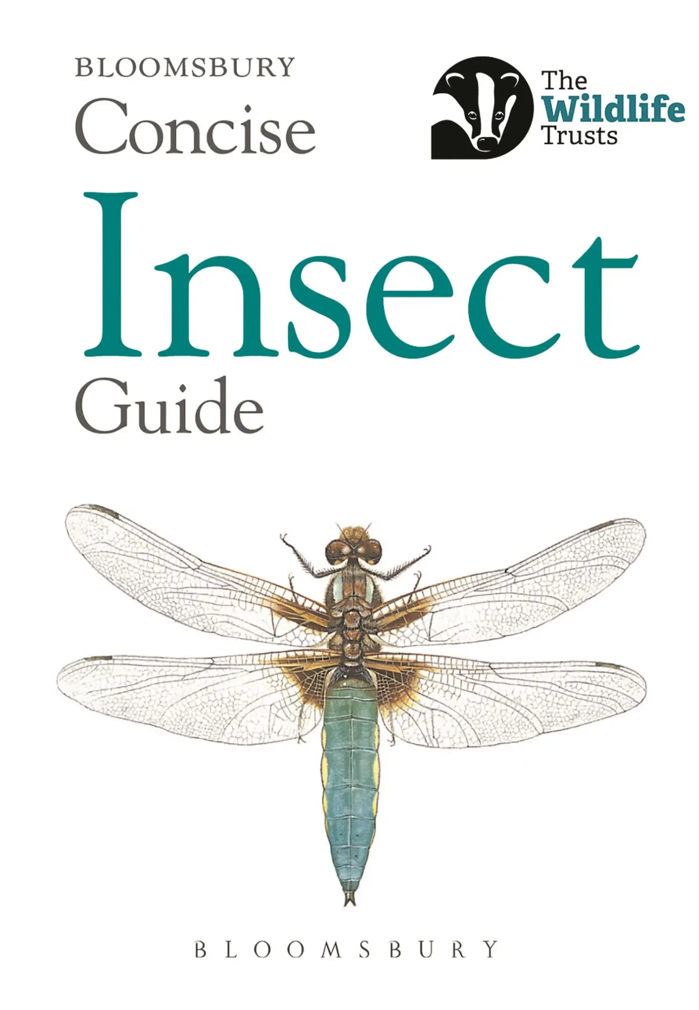 Cover: 9781472963765 | Concise Insect Guide | Bloomsbury | Taschenbuch | Englisch | 2019