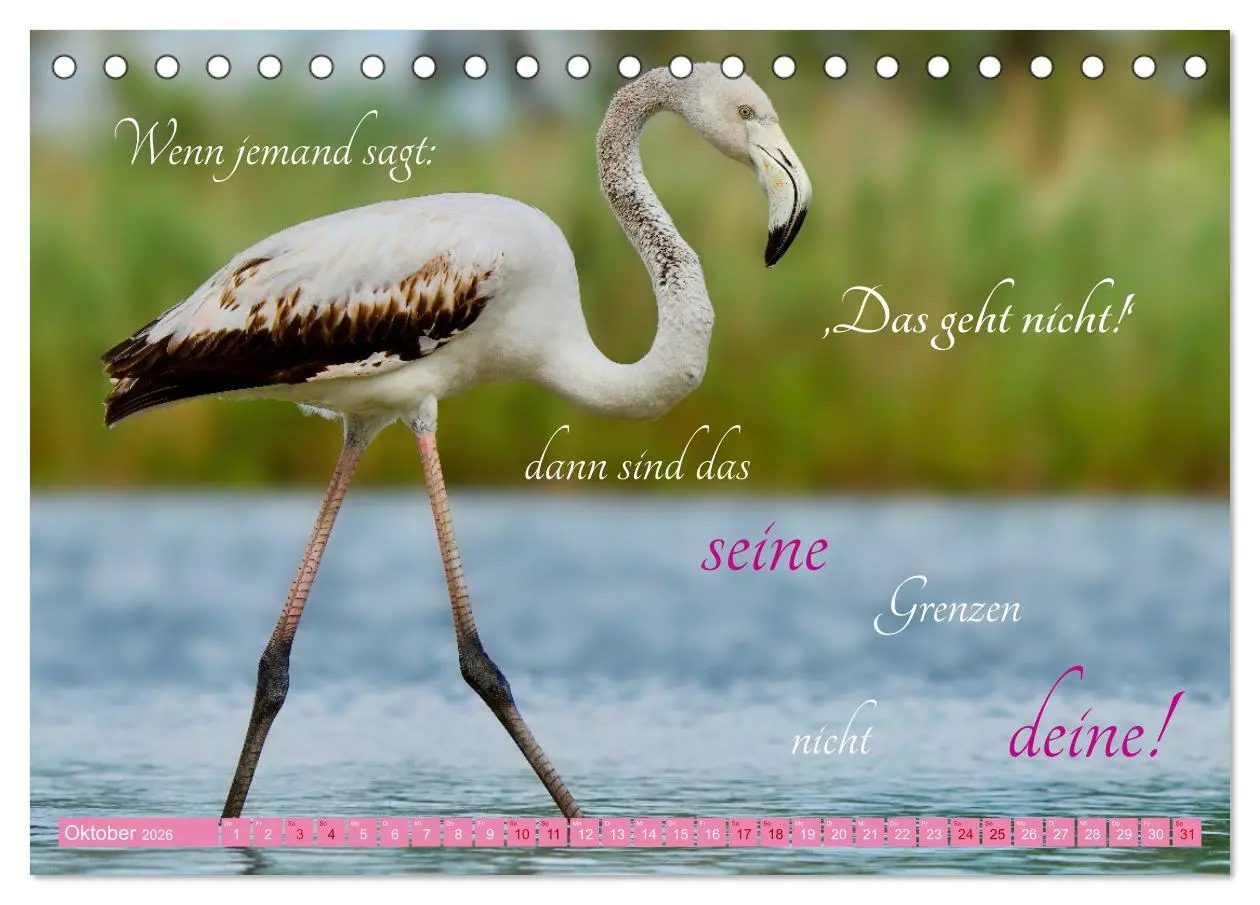 Bild: 9783457393765 | The Power Of Pink (Tischkalender 2026 DIN A5 quer), CALVENDO...