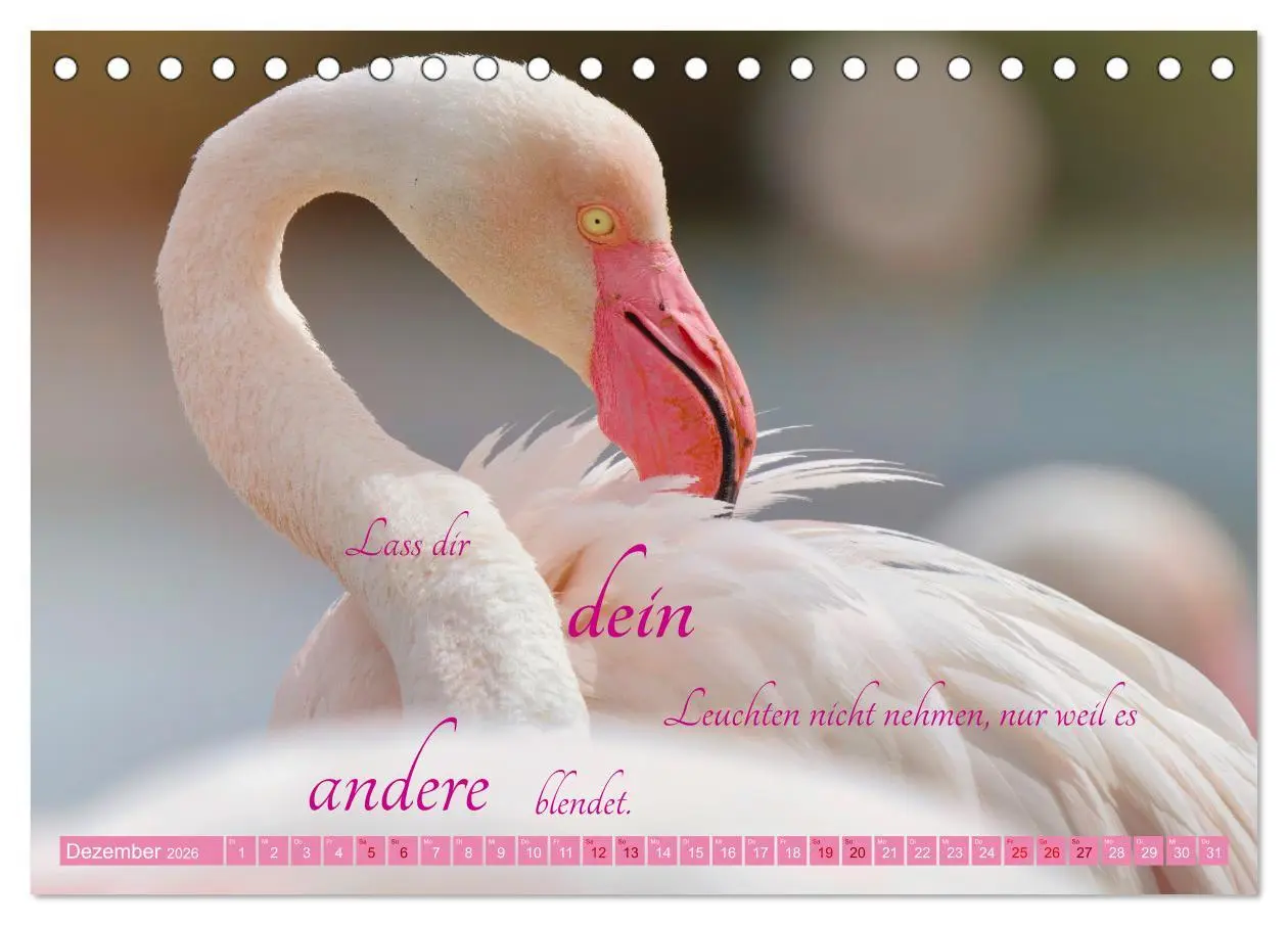 Bild: 9783457393765 | The Power Of Pink (Tischkalender 2026 DIN A5 quer), CALVENDO...