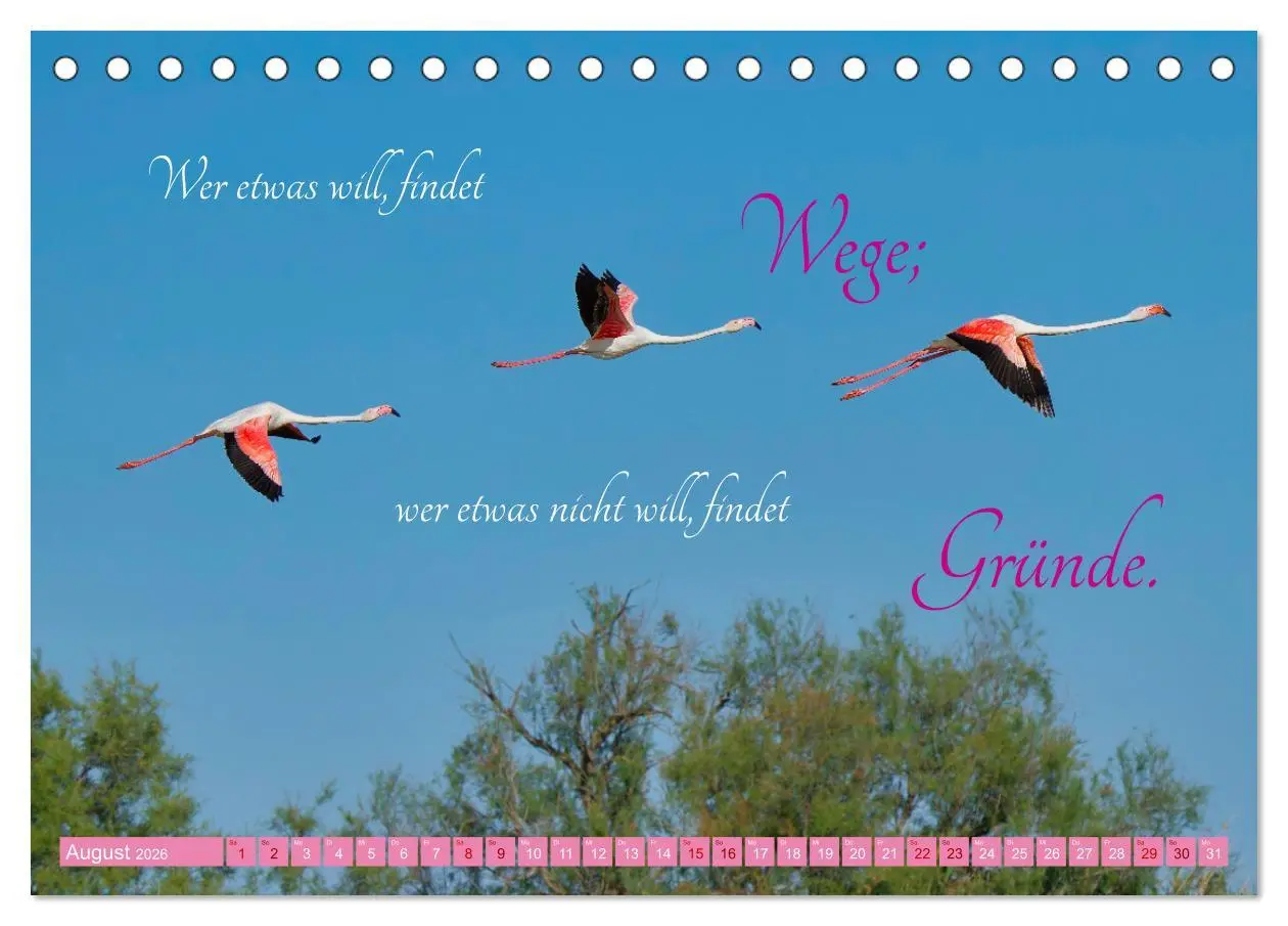 Bild: 9783457393765 | The Power Of Pink (Tischkalender 2026 DIN A5 quer), CALVENDO...