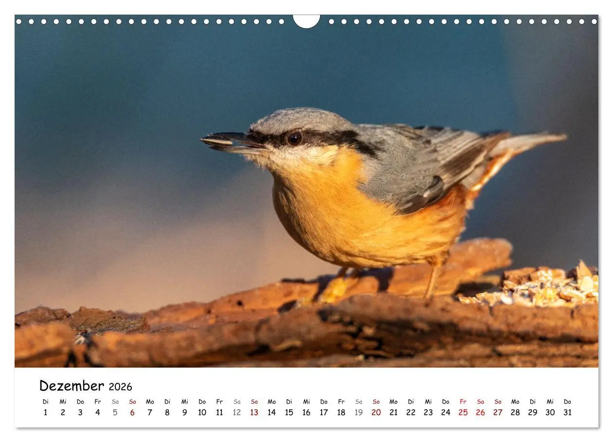 Bild: 9783457533765 | Der Kernbeißer und seine gefiederten Gesellen (Wandkalender 2026...