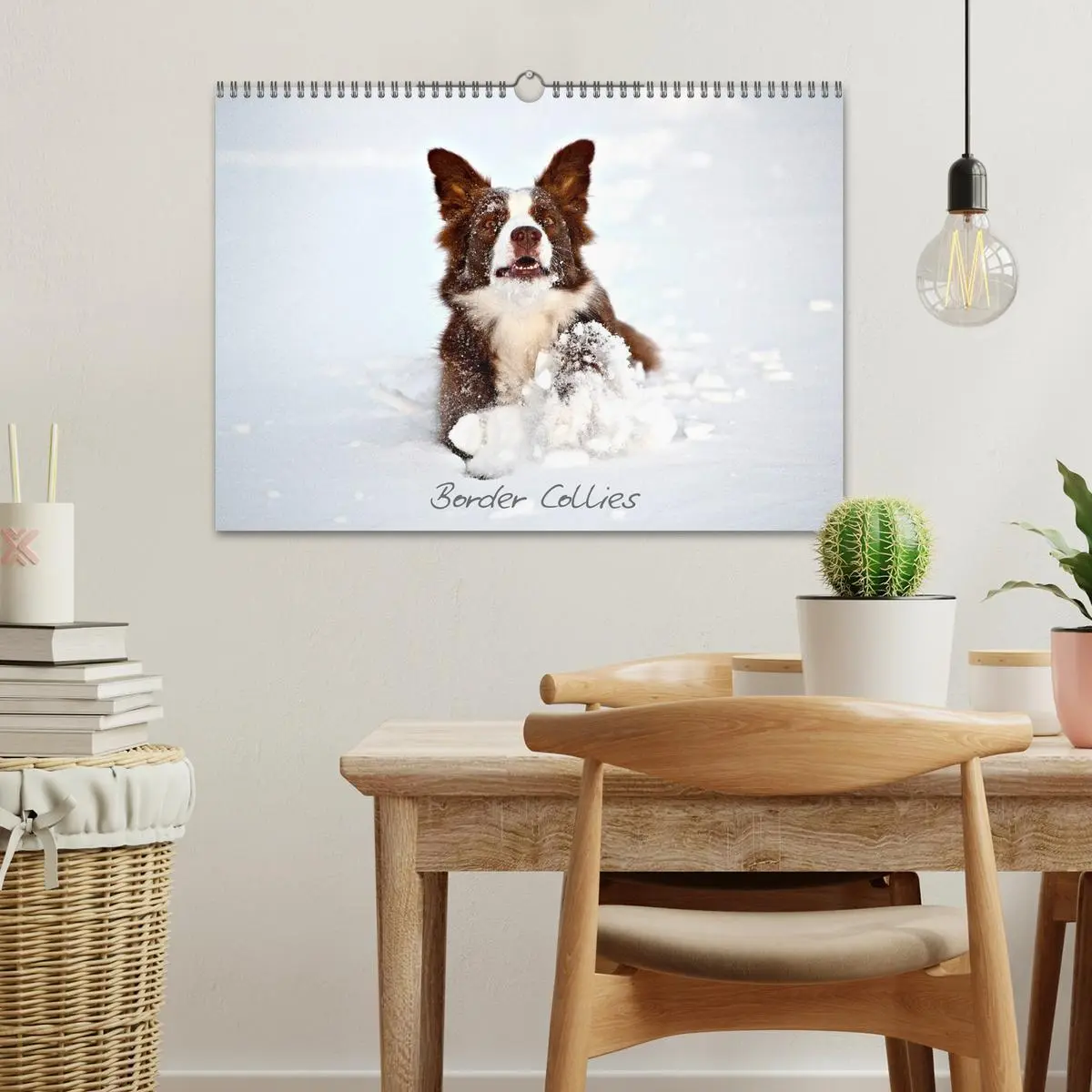 Bild: 9783516173765 | Border Collies (Wandkalender 2026 DIN A3 quer), CALVENDO...