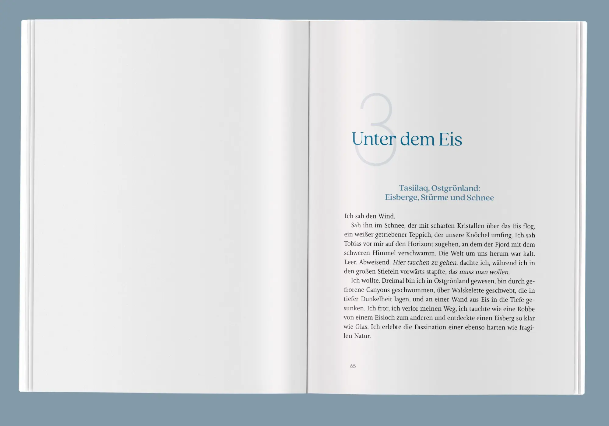 Bild: 9783517303765 | Es ist nie nichts | Anna von Boetticher | Taschenbuch | 224 S. | 2026