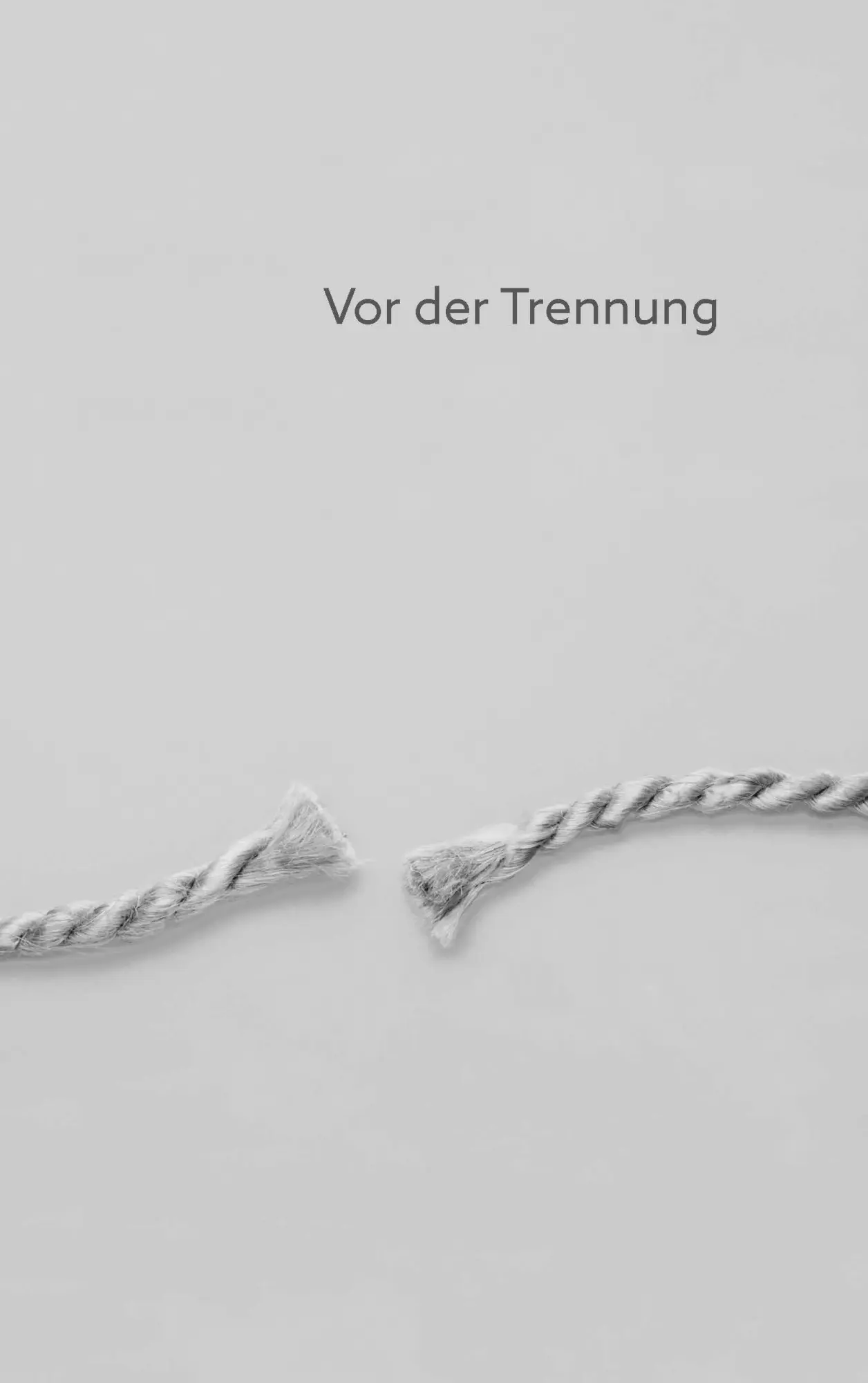 Bild: 9783990603765 | Ich will mich trennen | Torsten Geiling | Taschenbuch | 264 S. | 2024