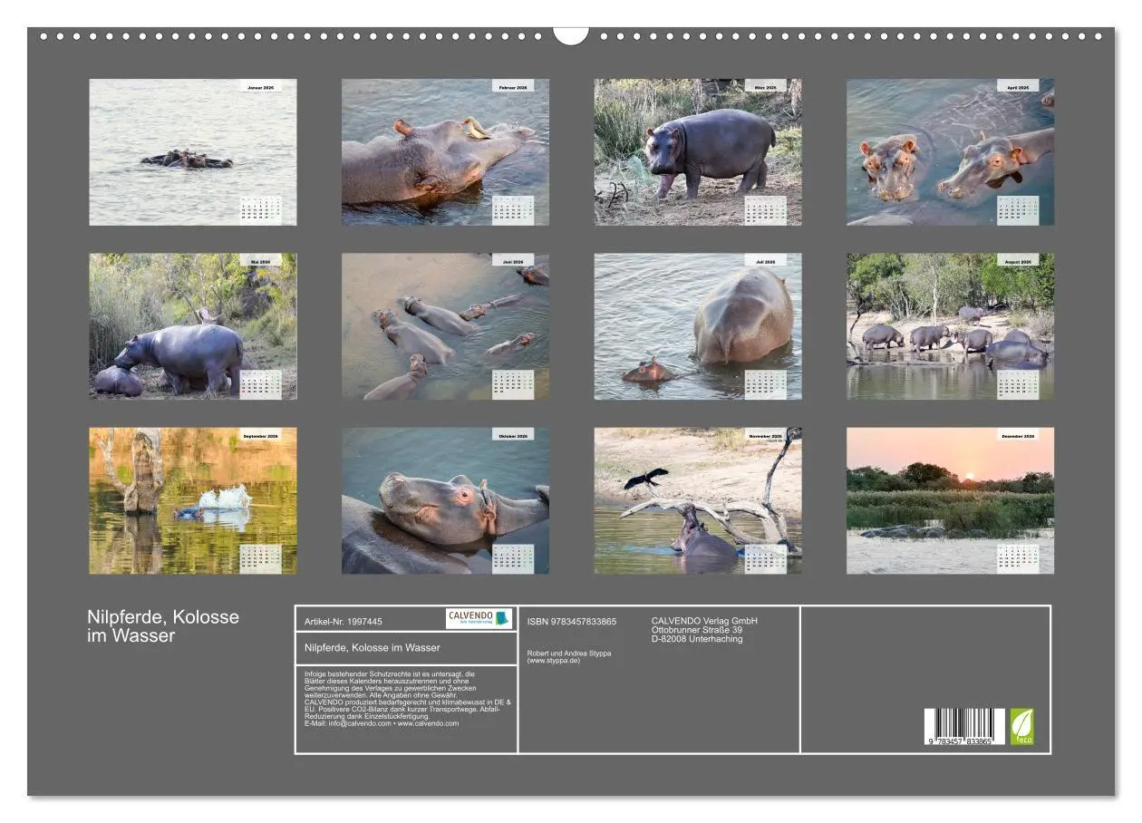 Bild: 9783457833865 | Nilpferde, Kolosse im Wasser (Wandkalender 2026 DIN A2 quer),...
