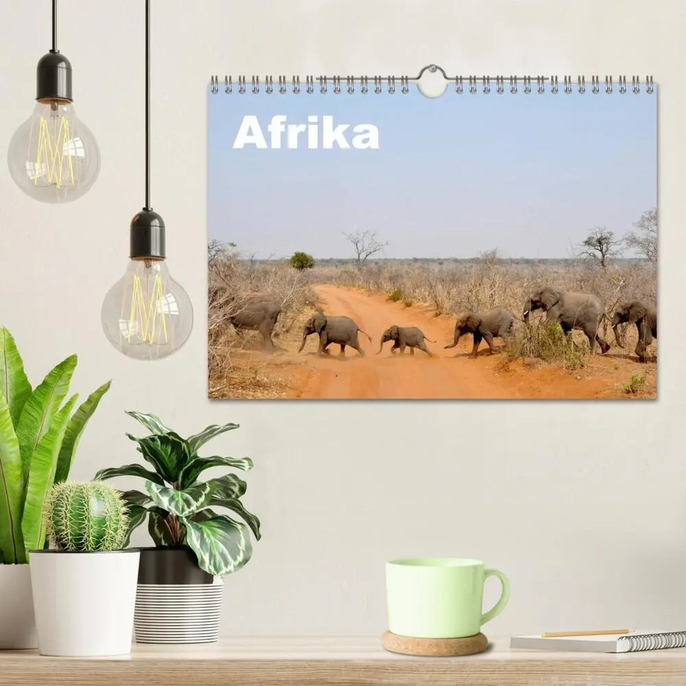Bild: 9783516163865 | Afrika (Wandkalender 2026 DIN A4 quer), CALVENDO Monatskalender | Ch
