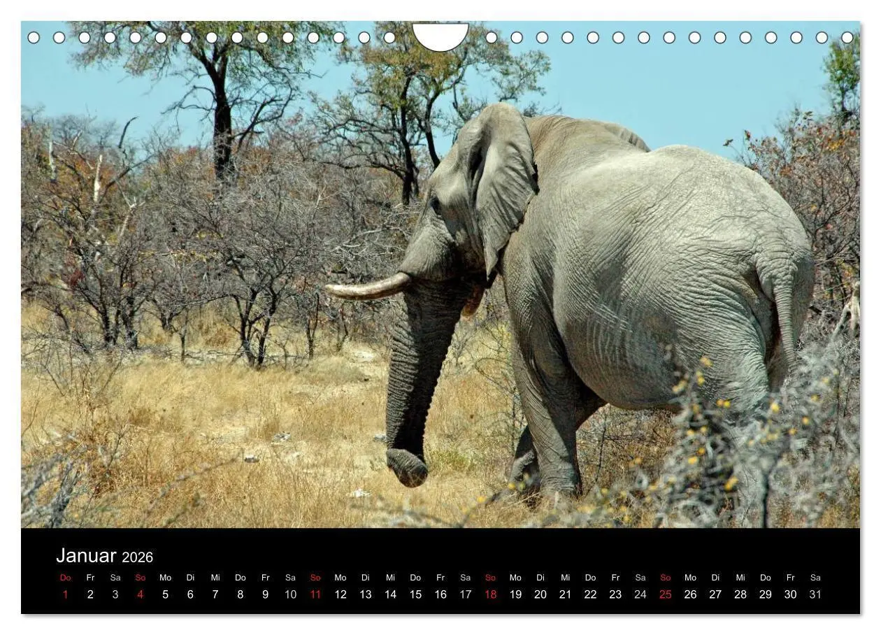 Bild: 9783516163865 | Afrika (Wandkalender 2026 DIN A4 quer), CALVENDO Monatskalender | Ch