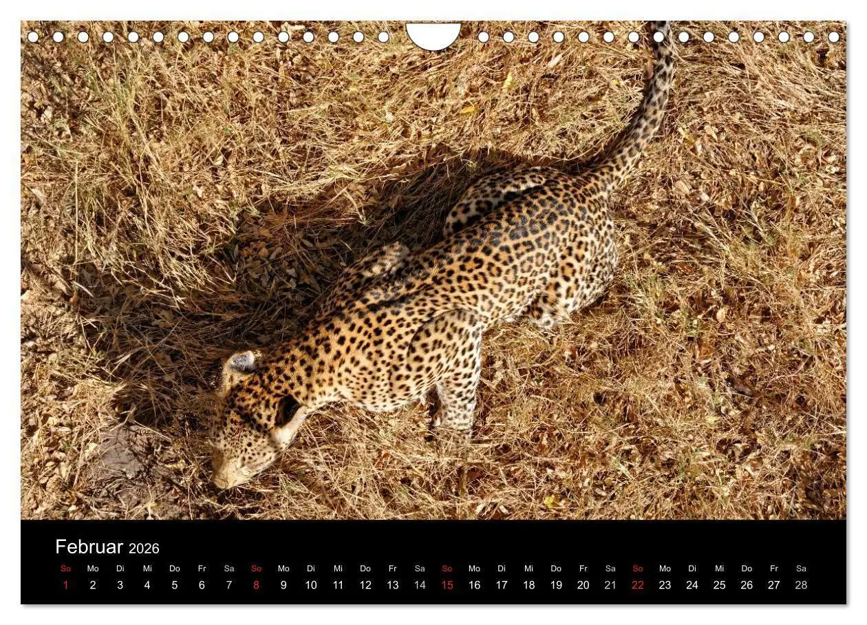 Bild: 9783516163865 | Afrika (Wandkalender 2026 DIN A4 quer), CALVENDO Monatskalender | Ch