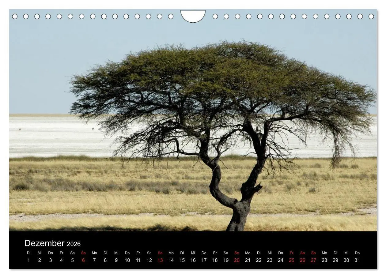 Bild: 9783516163865 | Afrika (Wandkalender 2026 DIN A4 quer), CALVENDO Monatskalender | Ch