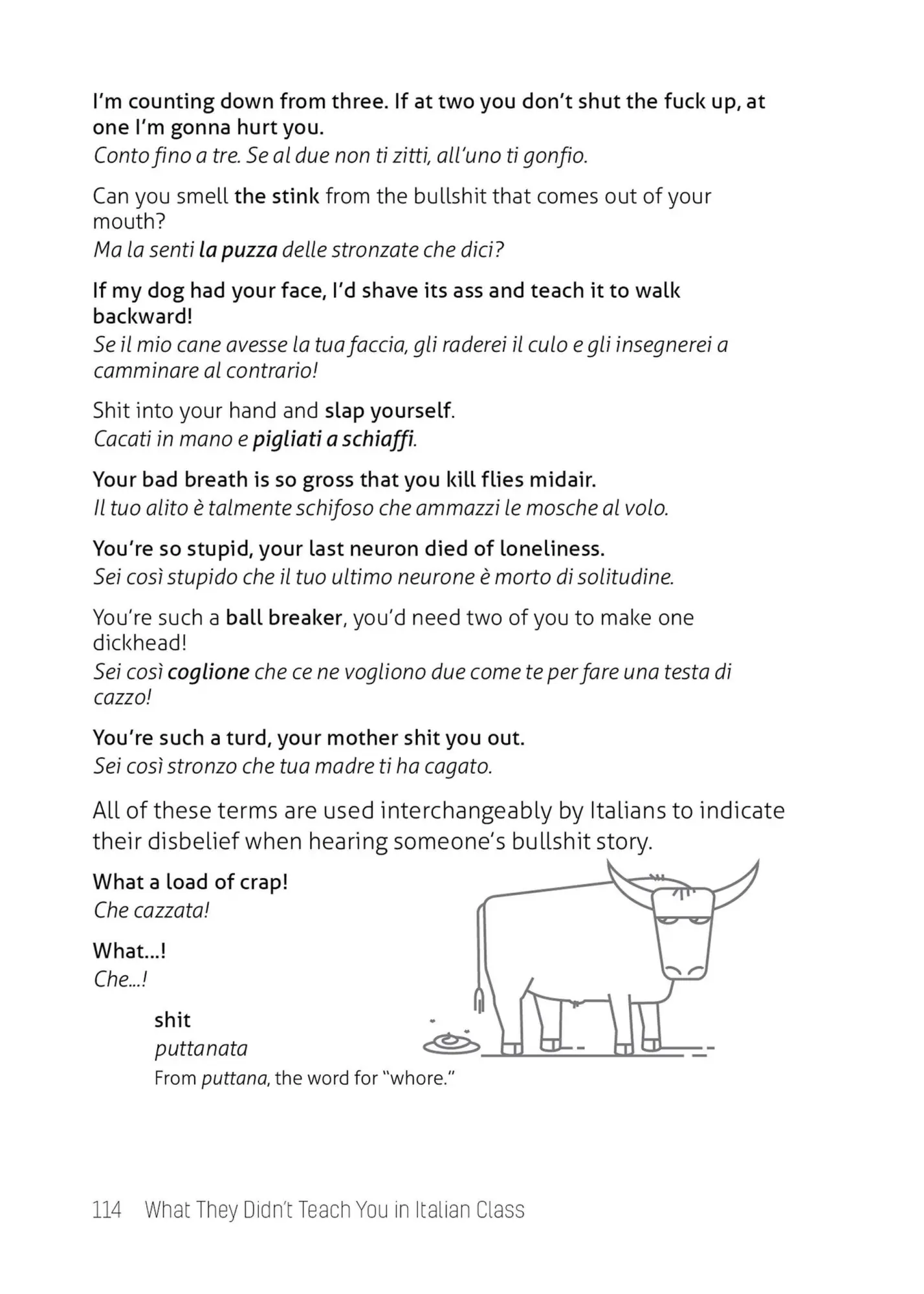 Bild: 9781646043965 | What They Didn't Teach You in Italian Class | Gabrielle Euvino | Buch