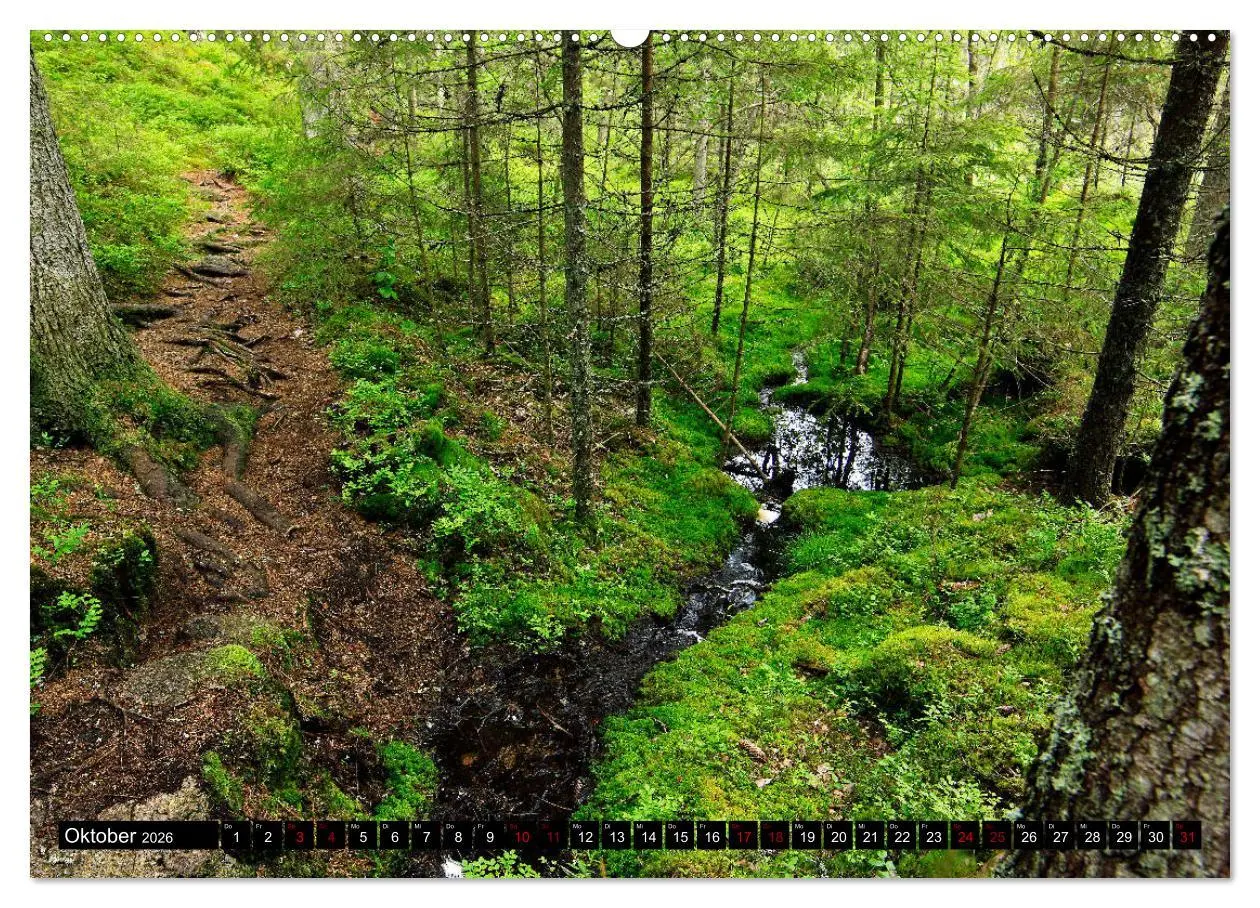 Bild: 9783457753965 | Tiveden, der NatURWALD in Schweden (hochwertiger Premium...