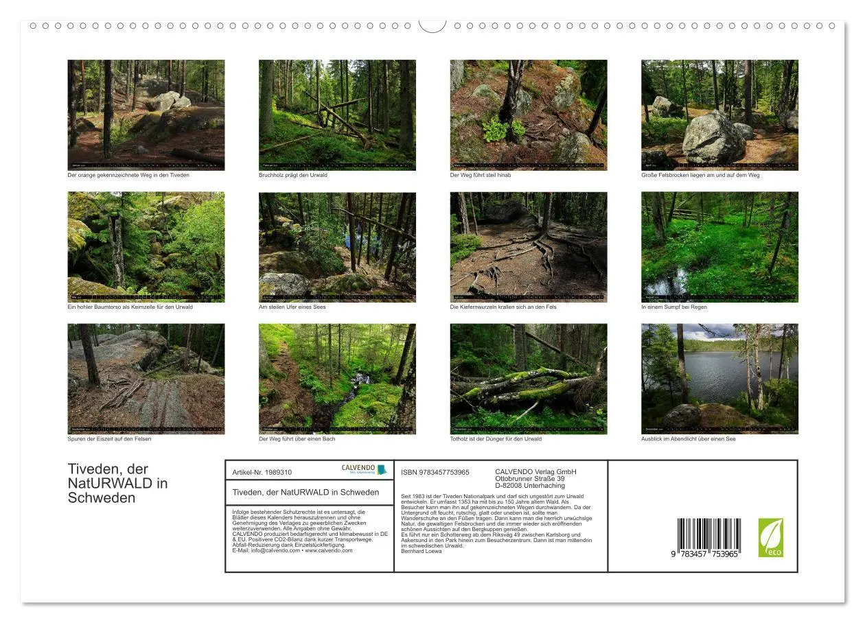 Bild: 9783457753965 | Tiveden, der NatURWALD in Schweden (hochwertiger Premium...
