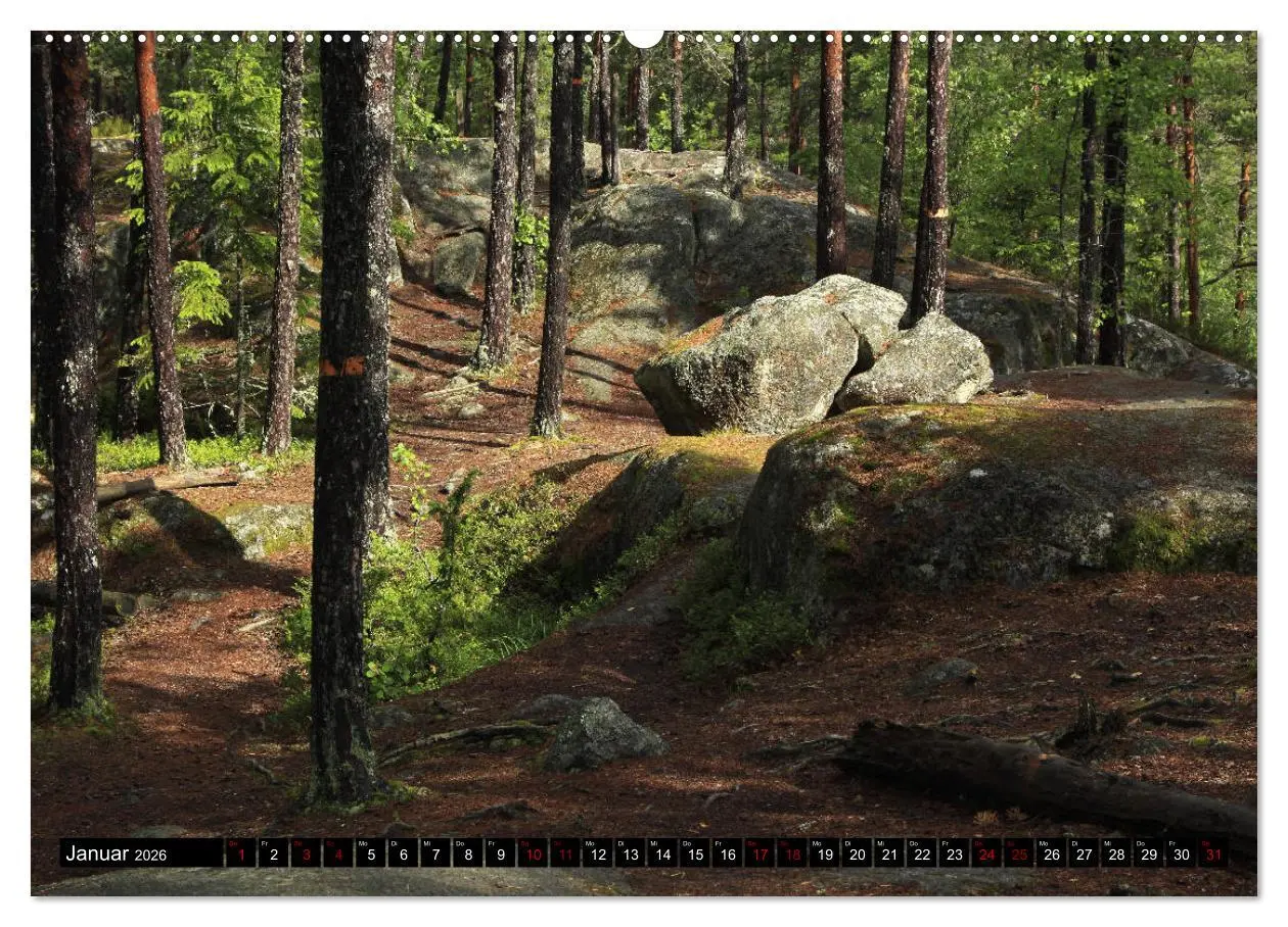 Bild: 9783457753965 | Tiveden, der NatURWALD in Schweden (hochwertiger Premium...