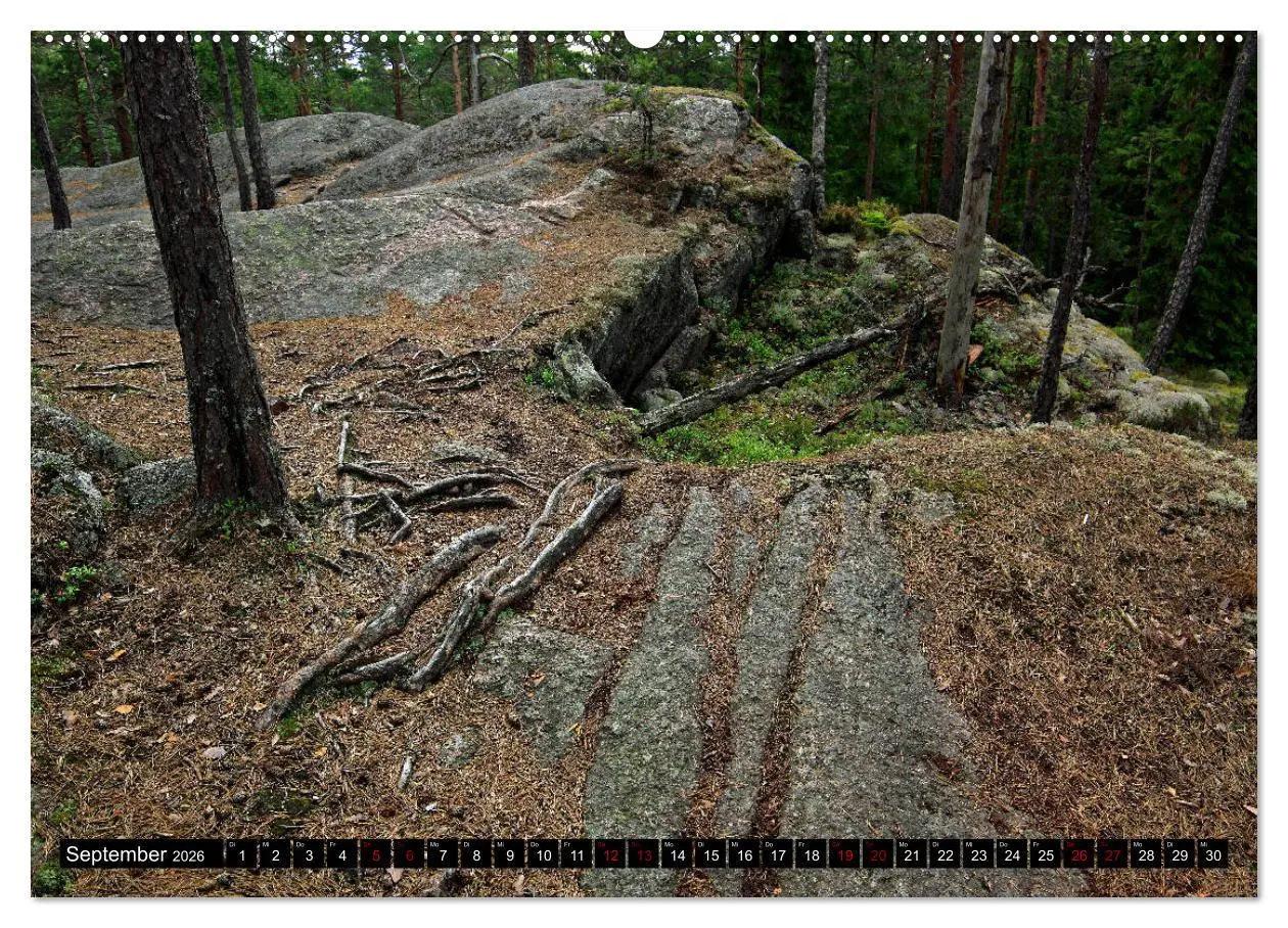 Bild: 9783457753965 | Tiveden, der NatURWALD in Schweden (hochwertiger Premium...