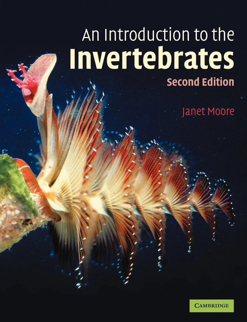 Cover: 9780521674065 | An Introduction to the Invertebrates | Janet Moore | Taschenbuch