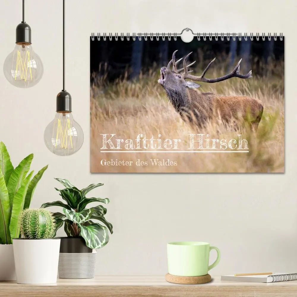 Bild: 9783435004065 | Krafttier Hirsch (Wandkalender 2025 DIN A4 quer), CALVENDO...