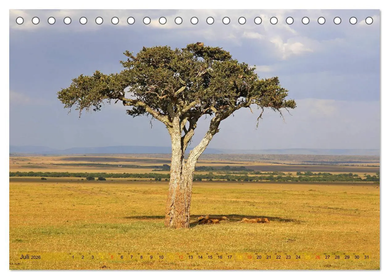 Bild: 9783457954065 | Traumlandschaften Kenia (Tischkalender 2026 DIN A5 quer), CALVENDO...
