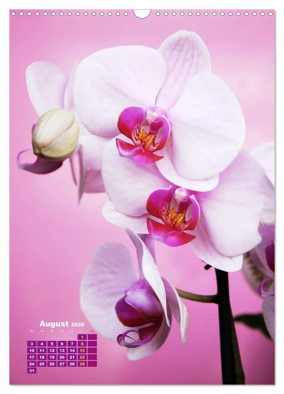 Bild: 9783516354065 | Orchideenschätze (Wandkalender 2026 DIN A3 hoch), CALVENDO...