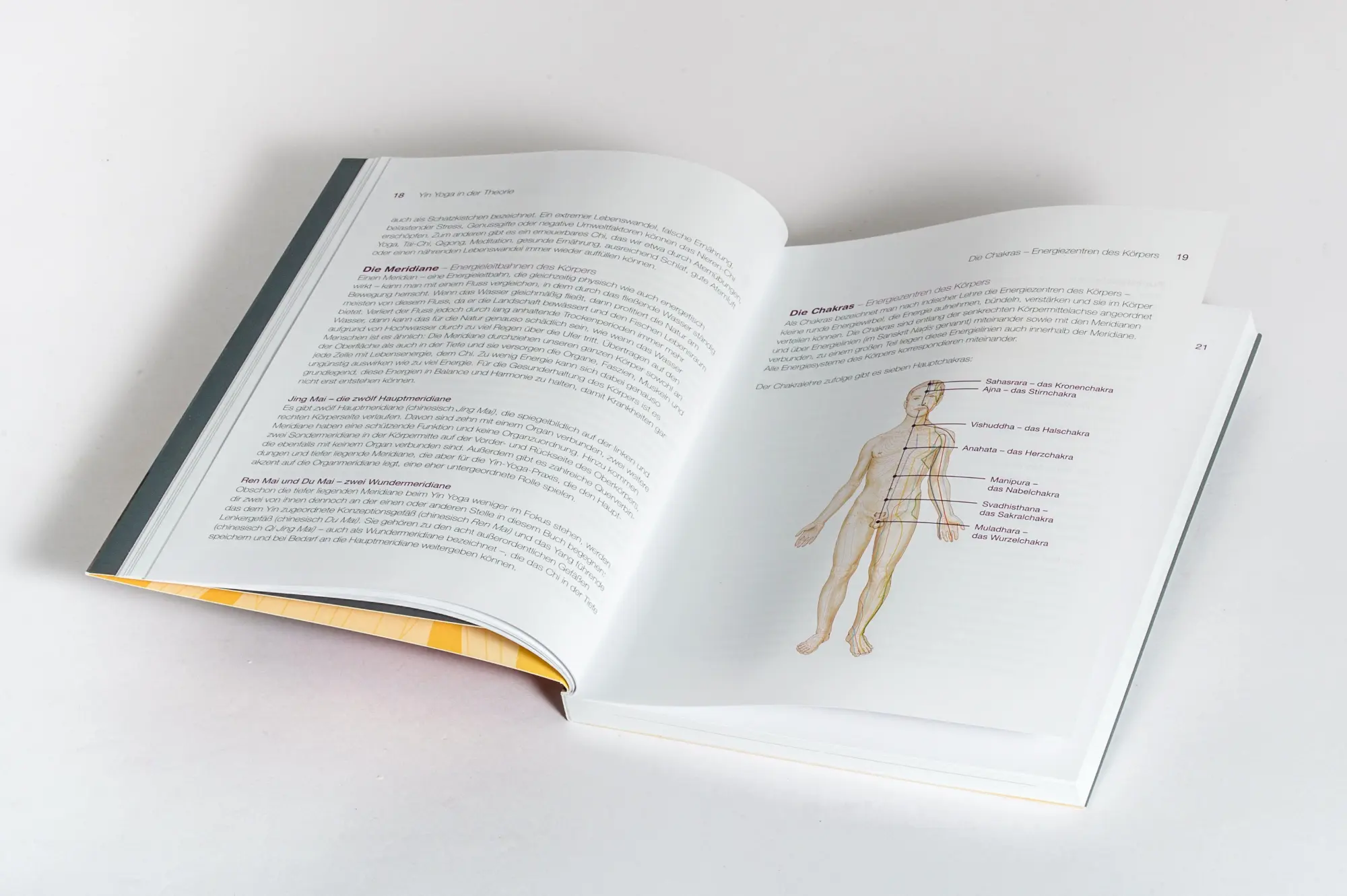 Bild: 9783517104065 | Gesund durch Yin Yoga | Stefanie Arend | Taschenbuch | 208 S. | 2025