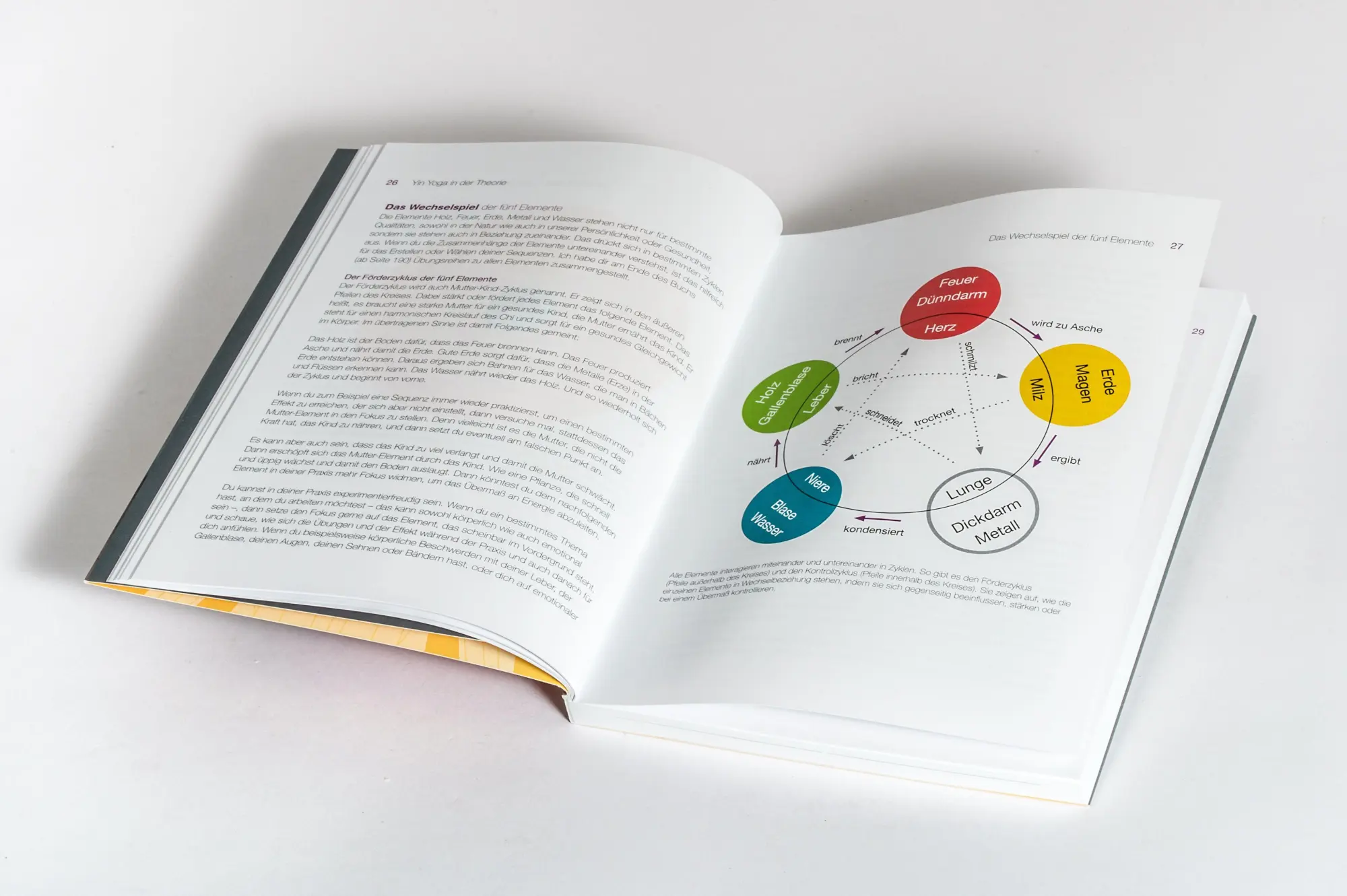 Bild: 9783517104065 | Gesund durch Yin Yoga | Stefanie Arend | Taschenbuch | 208 S. | 2025