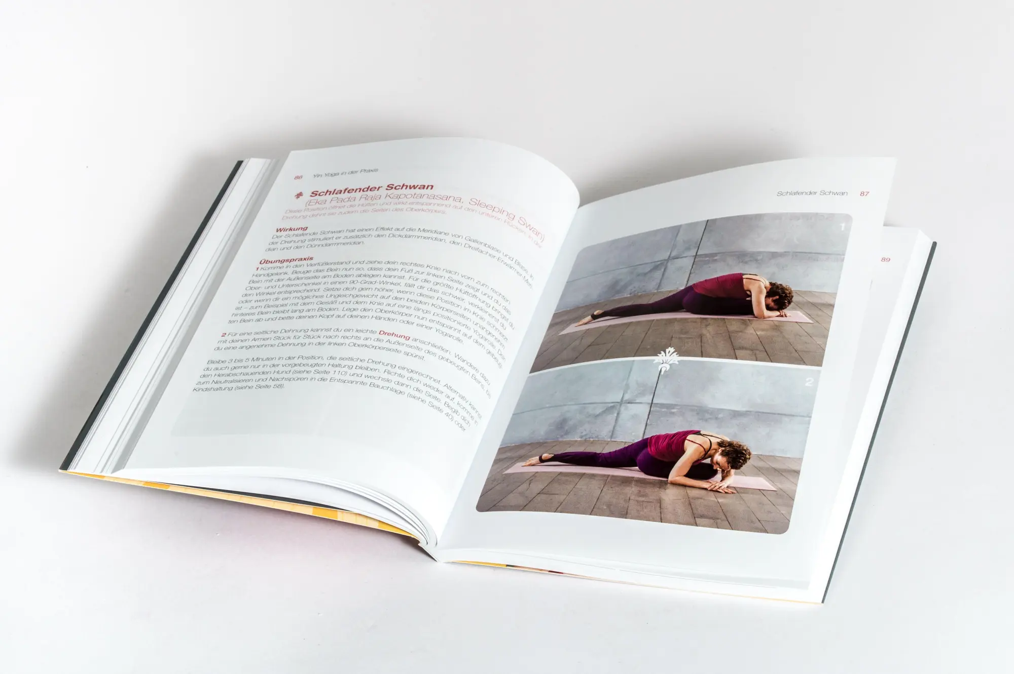 Bild: 9783517104065 | Gesund durch Yin Yoga | Stefanie Arend | Taschenbuch | 208 S. | 2025