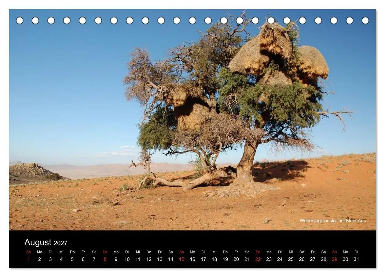 Bild: 9783594194065 | Namibia (Tischkalender 2027 DIN A5 quer), CALVENDO Monatskalender