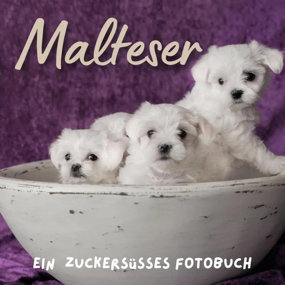 Cover: 9783750514065 | Malteser | Ein Fotobuch | Inés de Juan | Taschenbuch | 42 S. | Deutsch