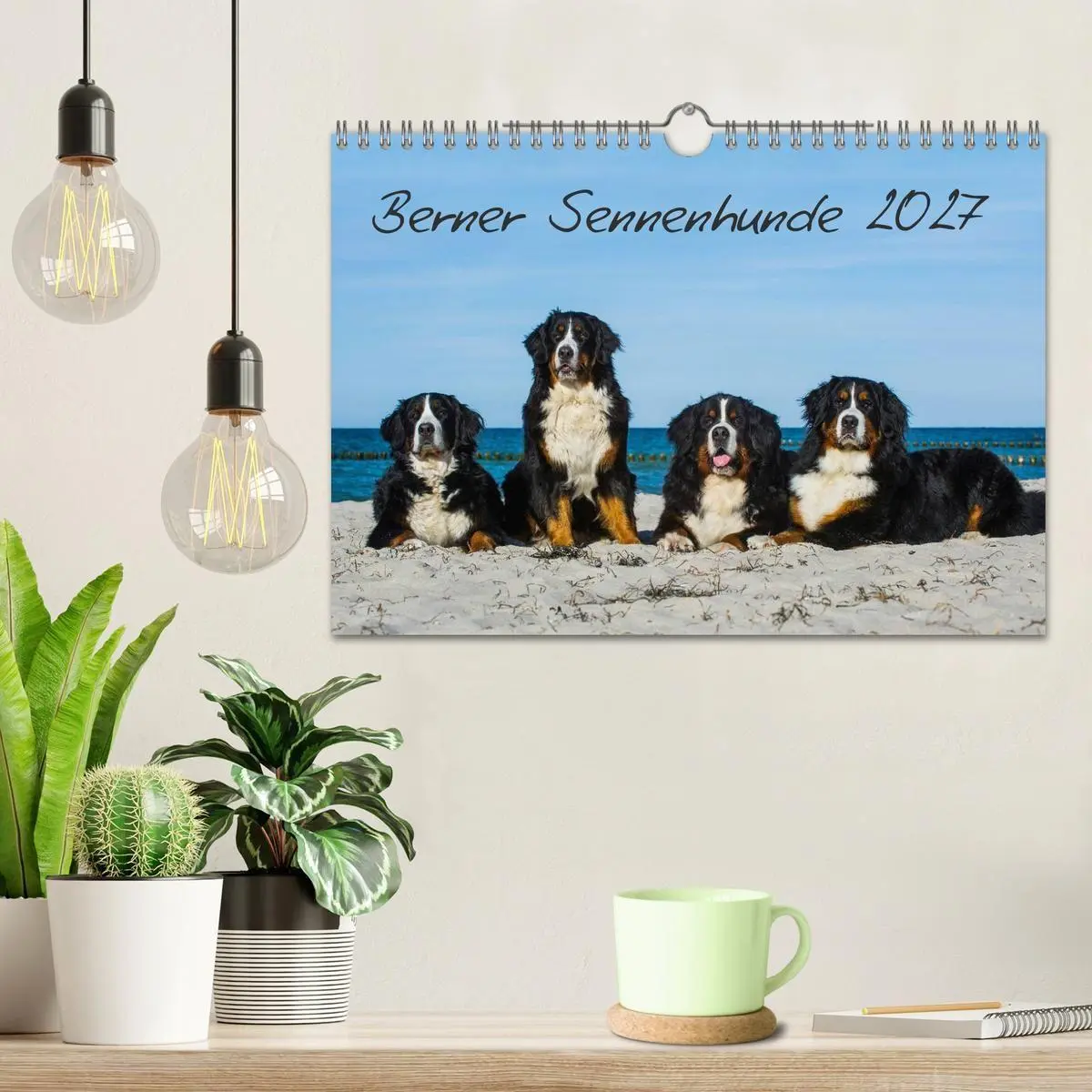 Bild: 9783594184165 | Berner Sennenhund 2027 (Wandkalender 2027 DIN A4 quer), CALVENDO...