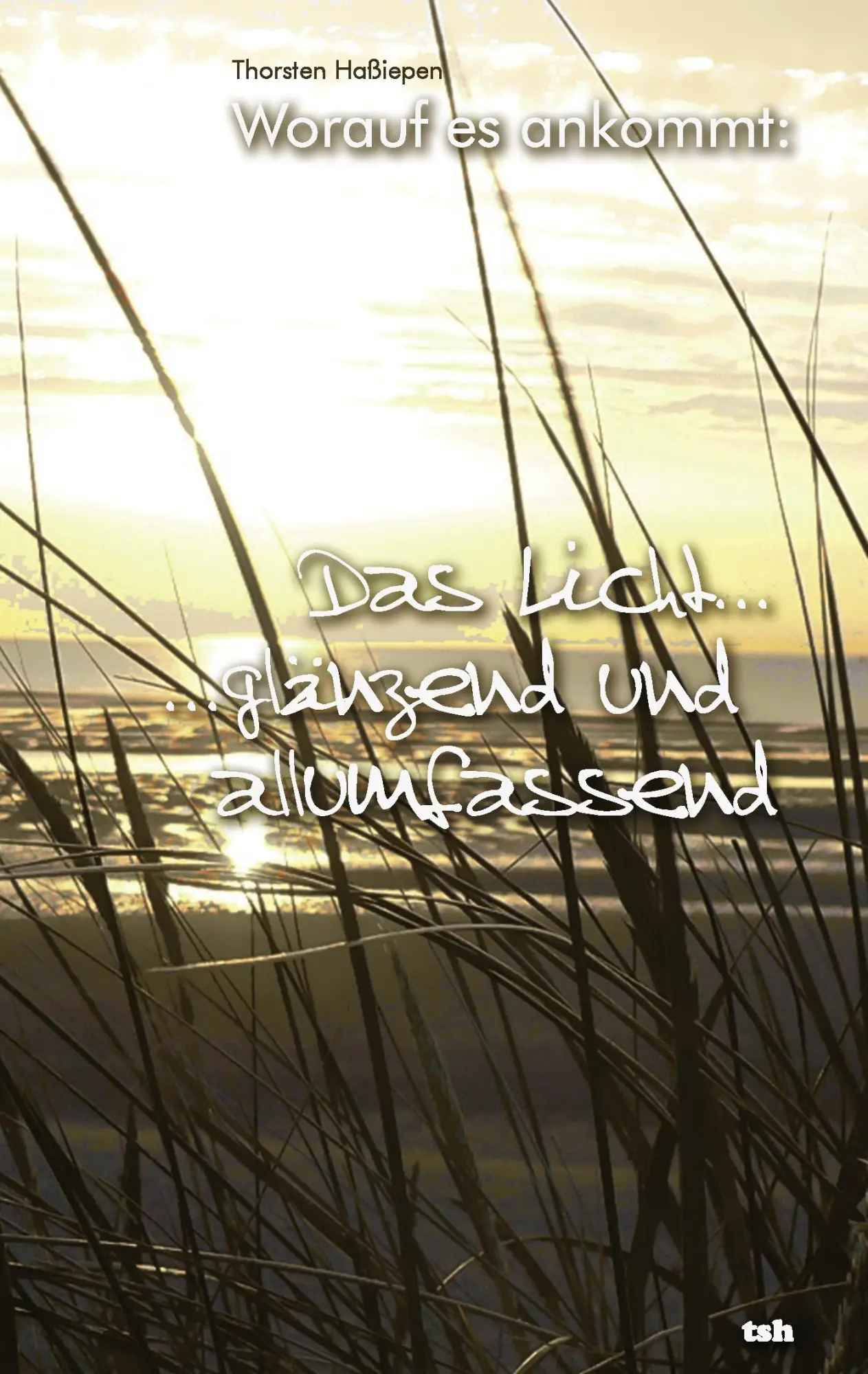 Cover: 9783842364165 | Worauf es ankommt: Das Licht... | ...glänzend und allumfassend | Buch