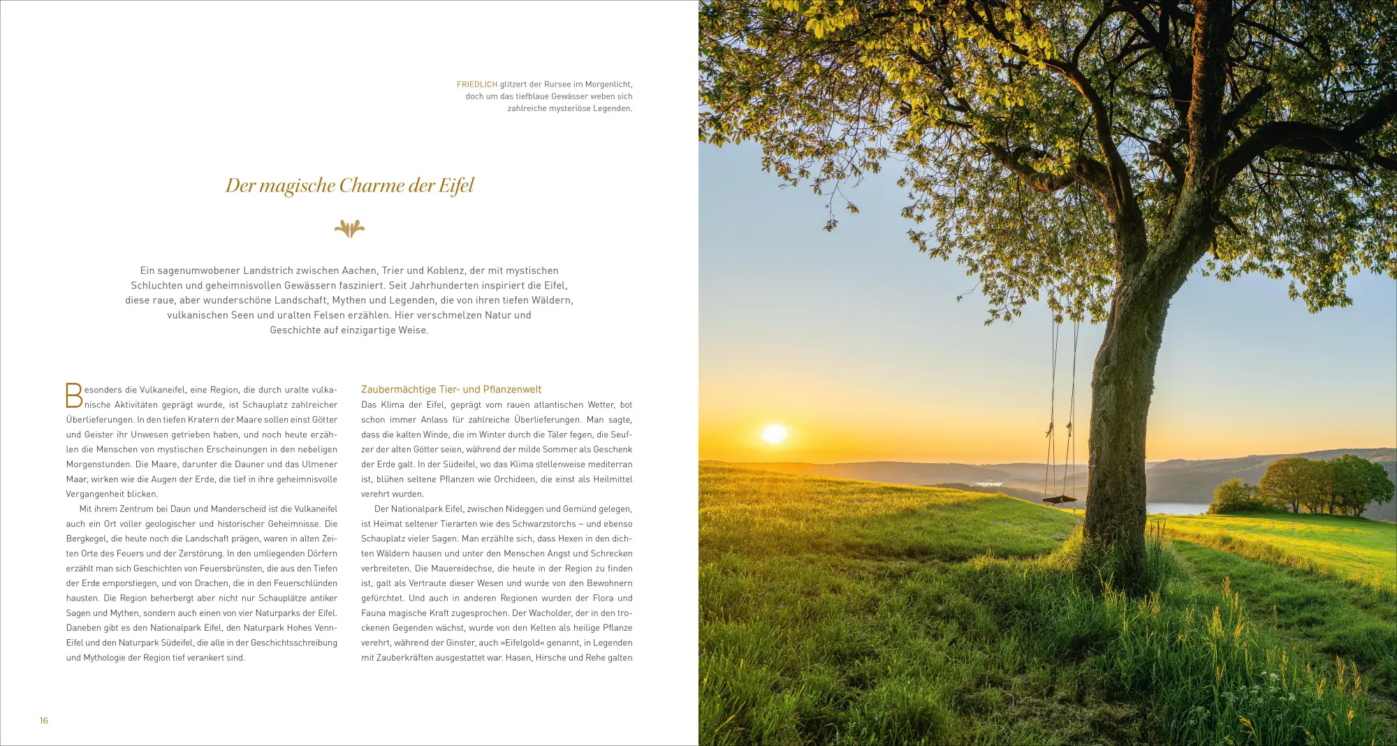 Bild: 9783954164165 | Sagenhafte Eifel | Eine Reise zu mythischen Orten | Antje Bayer | Buch
