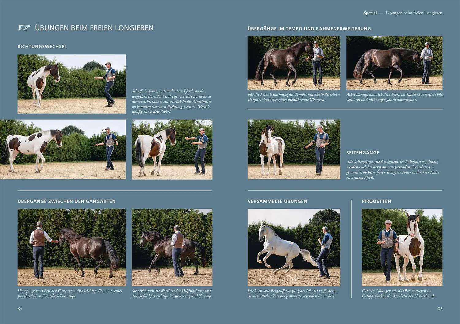 Bild: 9783440174265 | Gymnastizierende Freiarbeit | Marius Schneider | Buch | 160 S. | 2025