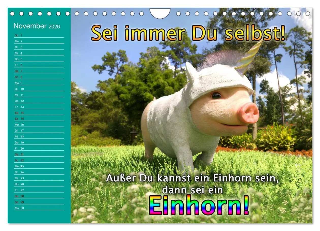Bild: 9783457624265 | Tierische Toons (Wandkalender 2026 DIN A4 quer), CALVENDO...