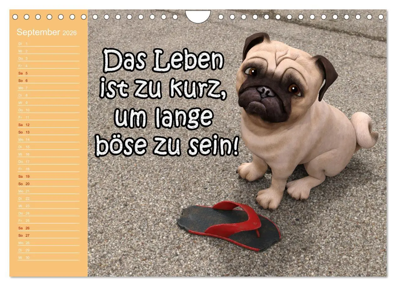 Bild: 9783457624265 | Tierische Toons (Wandkalender 2026 DIN A4 quer), CALVENDO...